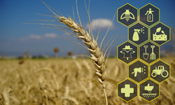 Agriculture 